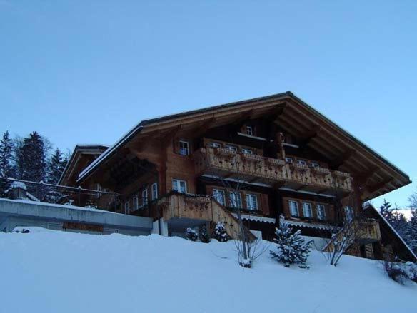 Chalet Spinne Grindelwald Extérieur photo
